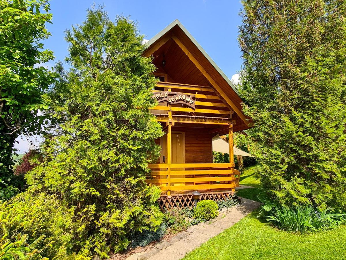 Lodge Pod Horbem Polańczyk