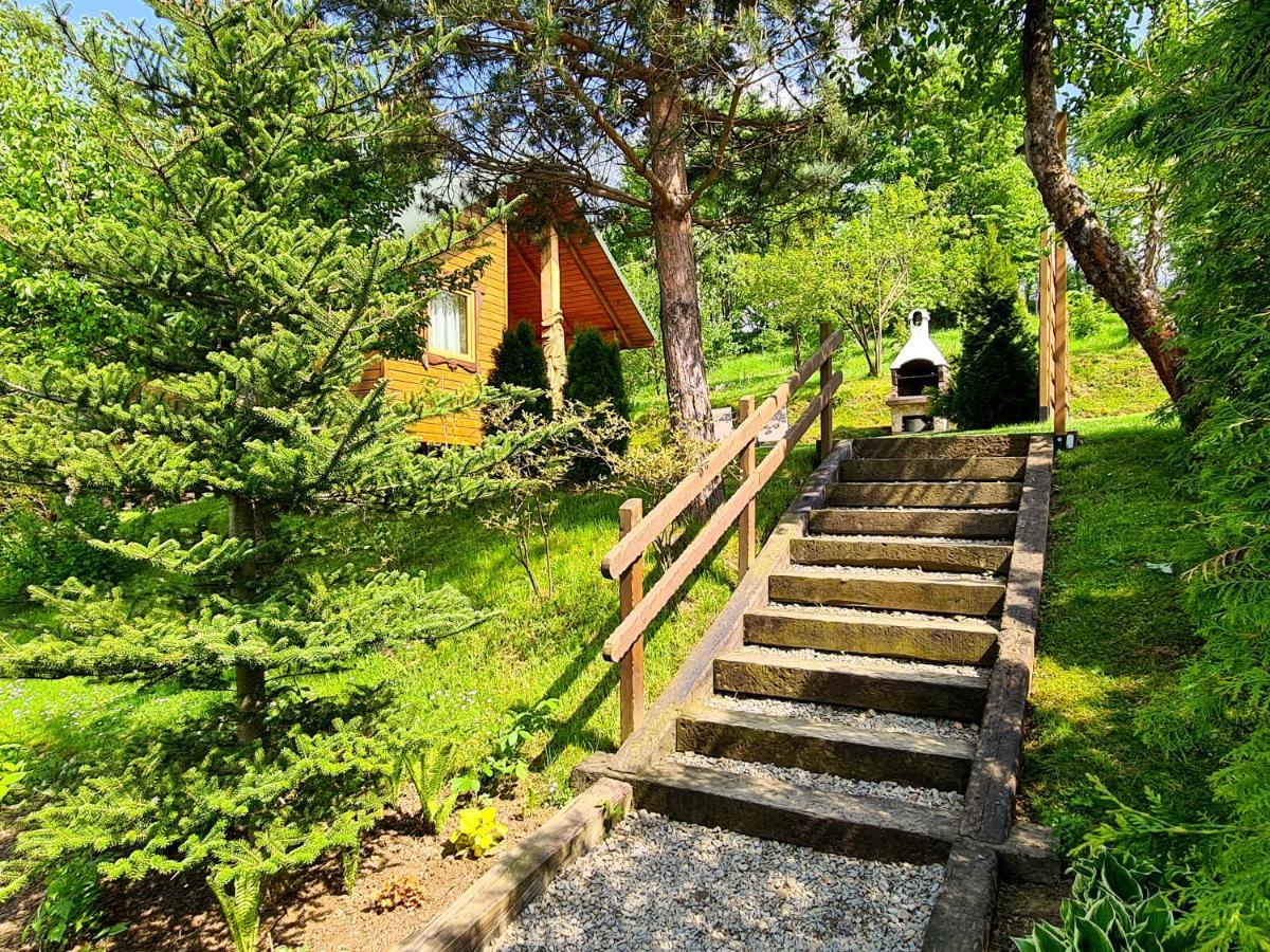 Pod Horbem Lodge Polańczyk