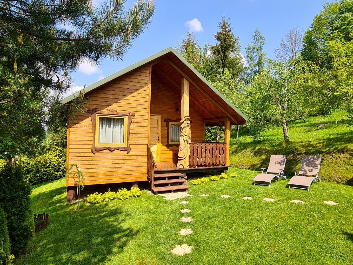 Lodge Pod Horbem Polańczyk